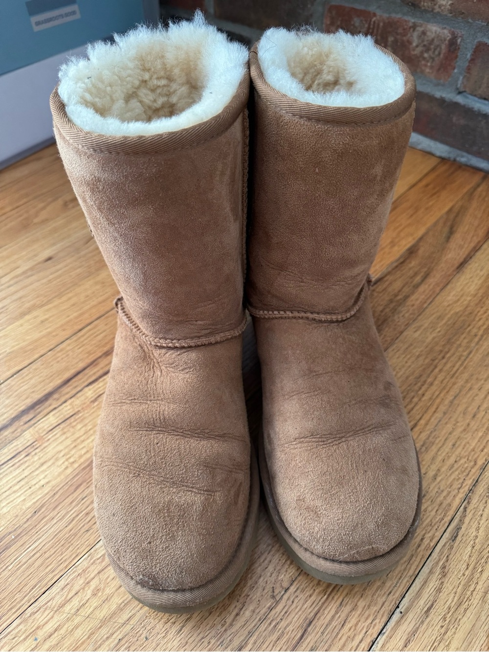 UGG Chestnut Sheepskin Lined Boot - Natural Beige